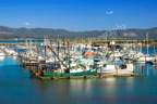 Ilwaco Harbor