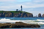 Yaquina Head