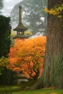 Autumn Pagoda