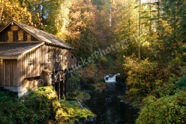 Autumn at the Grist Mill