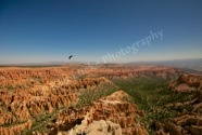 Bryce Canyon III