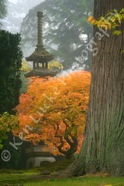 Autumn Pagoda