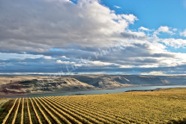 Autumn at Maryhill