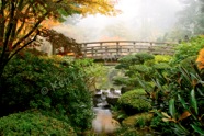 Bridge in the Mist