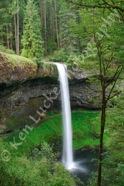 Silver Falls I