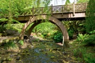 Sunlit Bridge