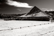 Historic Cowan Barn (B & W)