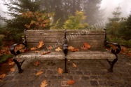 Lonely Bench