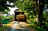 Makin' Hay