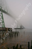 Megler In The Mist