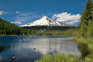 Mt  Hood from Trillium Lake